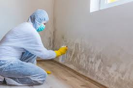 Asbestos and Lead Testing During Mold Inspection in Baldwin Park, CA